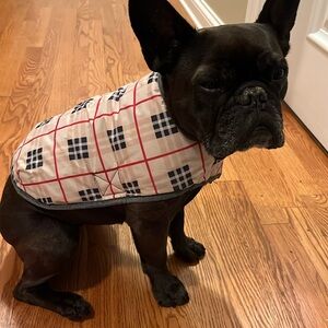 DOG REVERSIBLE RAINCOAT